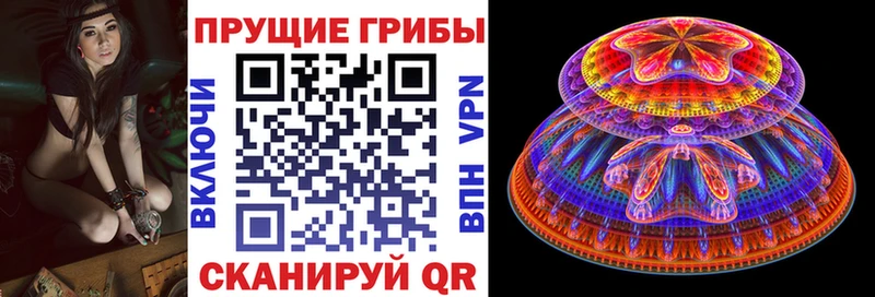 хочу наркоту  Староминская  Галлюциногенные грибы мухоморы 
